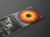 Intrinsic Reality Music CD